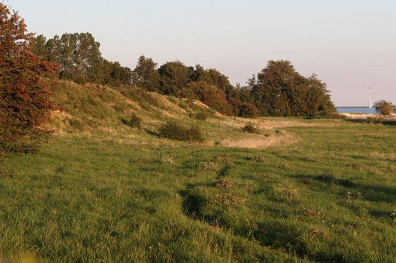 Stuwwallen landschap