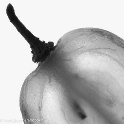 Macro Hans 111219 2